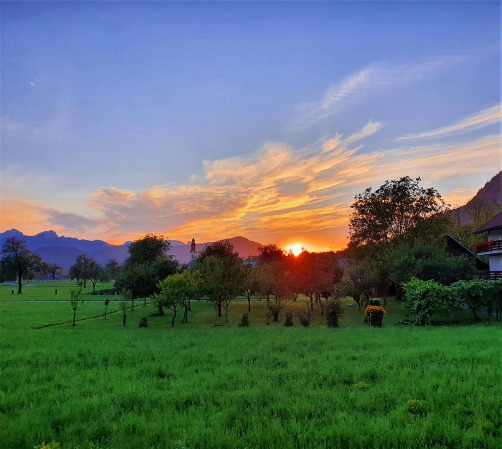 Honey Apartments Zirovnica Dış mekan fotoğraf