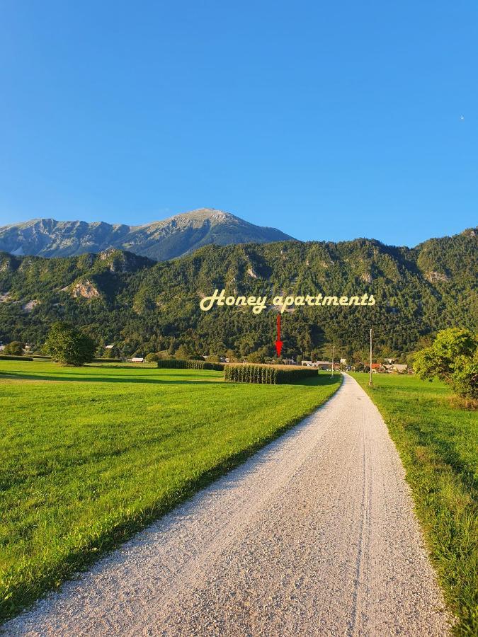 Honey Apartments Zirovnica Dış mekan fotoğraf